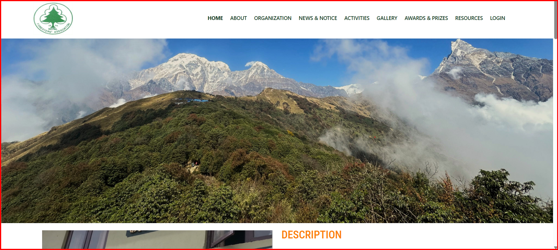 NFA Portal Project
